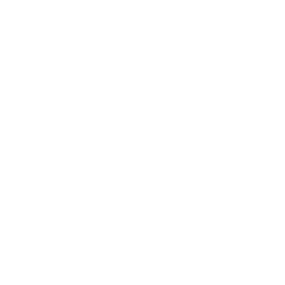 Blue Sapphire membership card