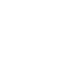 Blue Sapphire membership card